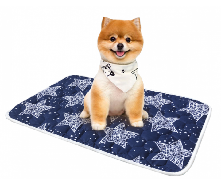 Пелюшка багаторазова AquaStop, 60х90см